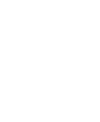 AmidA